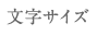 文字サイズ